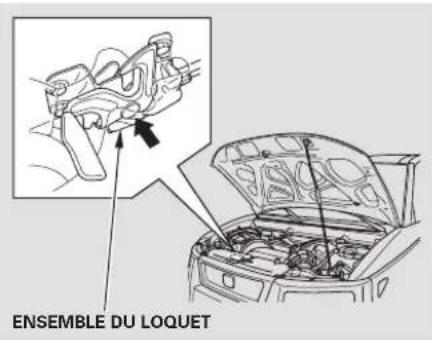 Honda Element (2003) - Dispositif de verrouillage du capot - 1