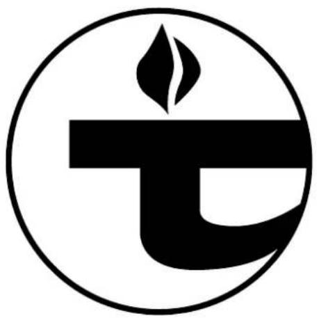 Trumatic S 55 T - Österreich (Verkauf und Service für Nutzfahrzeuge): - 1