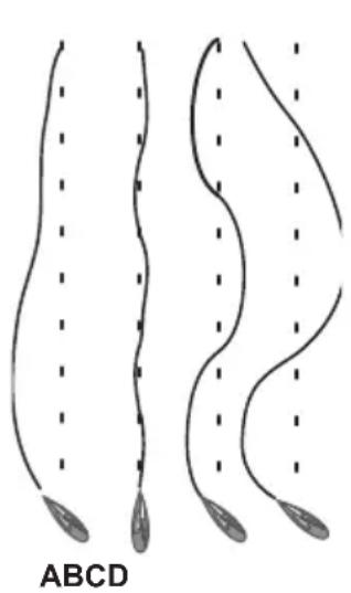 SIMRAD TP22 - Mode Étalandnage - 1