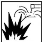 Miller Matic 251 - ARC RAYS can burn eyes and skin. - 1