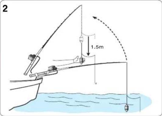 Daiwa Tanacom Bull 750 - Conseil pratique - 1