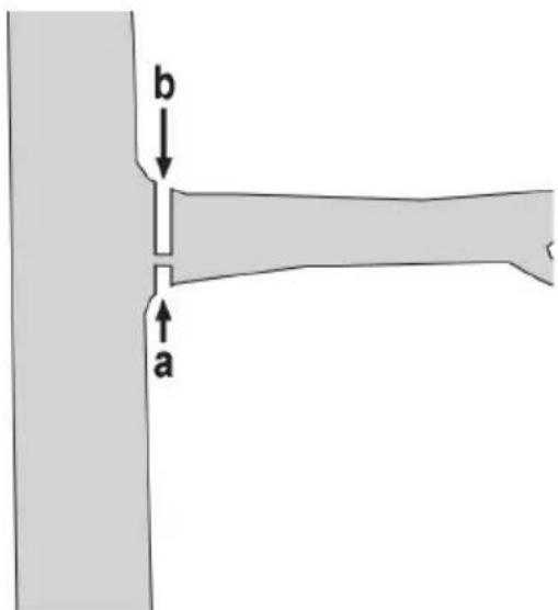 FLORABEST FHE 550 B2 - Taglio in pezzetti - 2