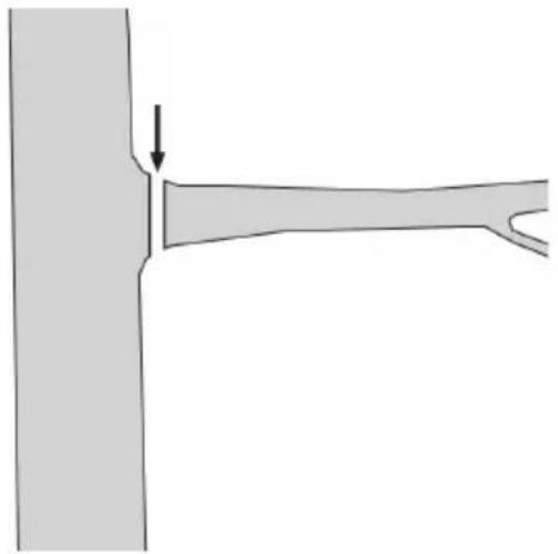 FLORABEST FHE 550 B2 - Absagen eines kleinen Astes - 1