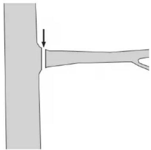 FLORABEST FHE 550 B2 - Sawing Off Small Branches - 1