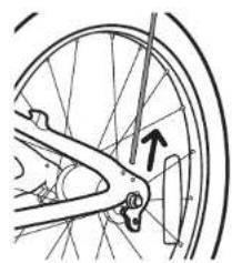 Burley Kazoo - Demontage zur längeren Aufbewährung - 1