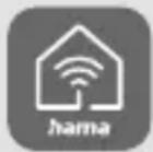 HAMA 00176551 - Observação - 2