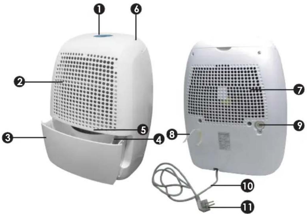 Alberello T3 - PIEZAS - 1