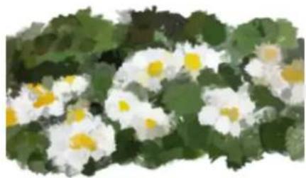 COREL Painter 2019 - Duplicateurs - 2