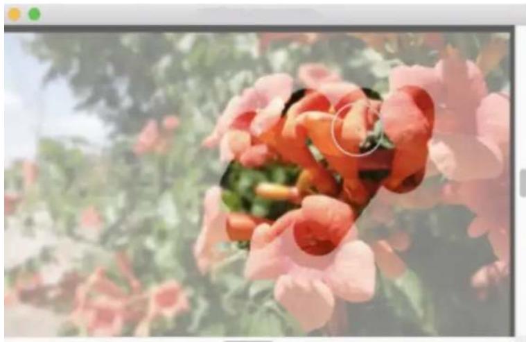COREL Painter 2019 - Affichage de l'image ou texture utilisée comme source de réplique - 1