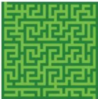 COREL Painter 2019 - Application d'un effet Labyrinthe - 1