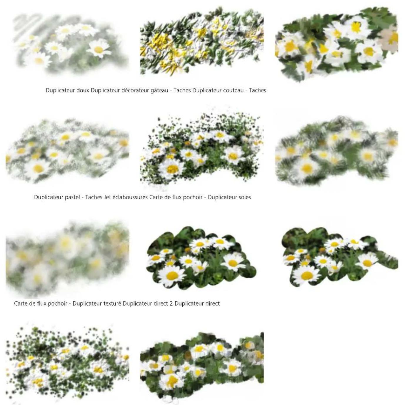 COREL Painter 2019 - Duplicateurs - 5
