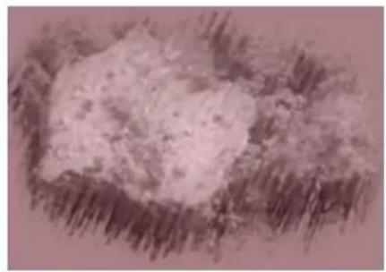 COREL Painter 2019 - Recouvrement de la texture - 2