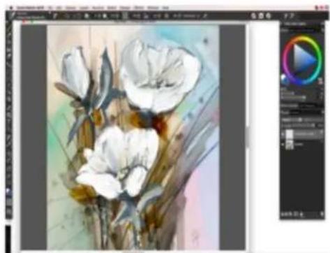 COREL Painter 2019 - Modification du mode d'affichage d'un document - 1