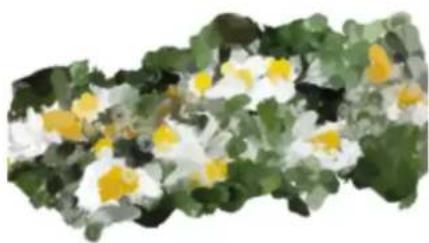 COREL Painter 2019 - Duplicateurs - 3