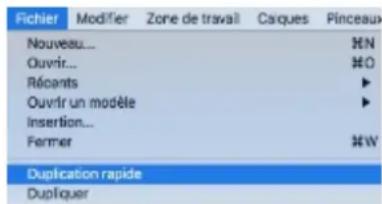 COREL Painter 2019 - Convention Description Exemple - 1