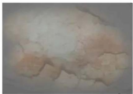 COREL Painter 2019 - Recouvrement de la texture - 11