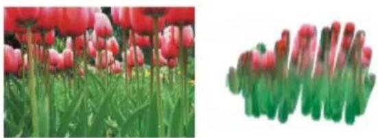 COREL Painter 2019 - Duplication - 1