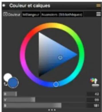 COREL Painter 2019 - Réorganisation des panneaux et des palettes - 2