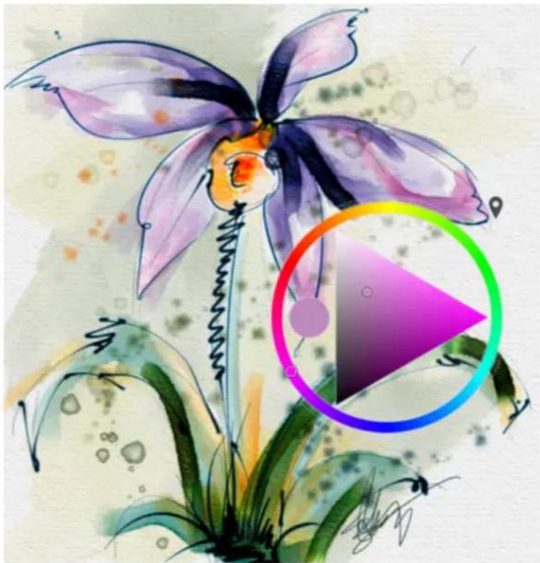 COREL Painter 2019 - Utilisation du sélecteur de couleurs - 1