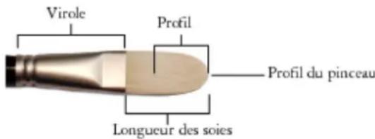 COREL Painter 2019 - Modification des options de pinceau de soies réalistes - 1