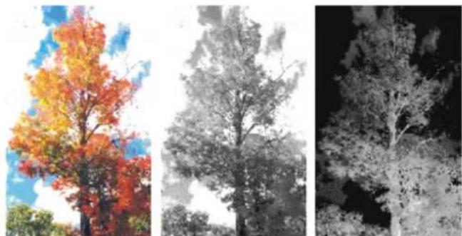 COREL Painter 2019 - Génération automatique de canaux - 1