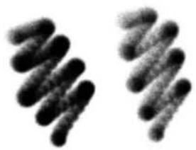 COREL Painter 2019 - options de la zone Aérographe - 4