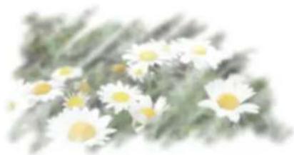 COREL Painter 2019 - Duplicateurs - 4