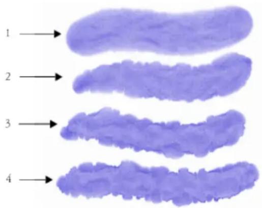 COREL Painter 2019 - Activation de cartes de flux et contrôle de la résistance au débit - 2