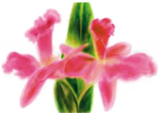 COREL Painter 2019 - Utilisation du calque Aquarelle - 1