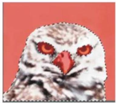 COREL Painter 2019 - Combinaison de sélections lors de l'enregistrement ou du chargement de canaux alpha - 4