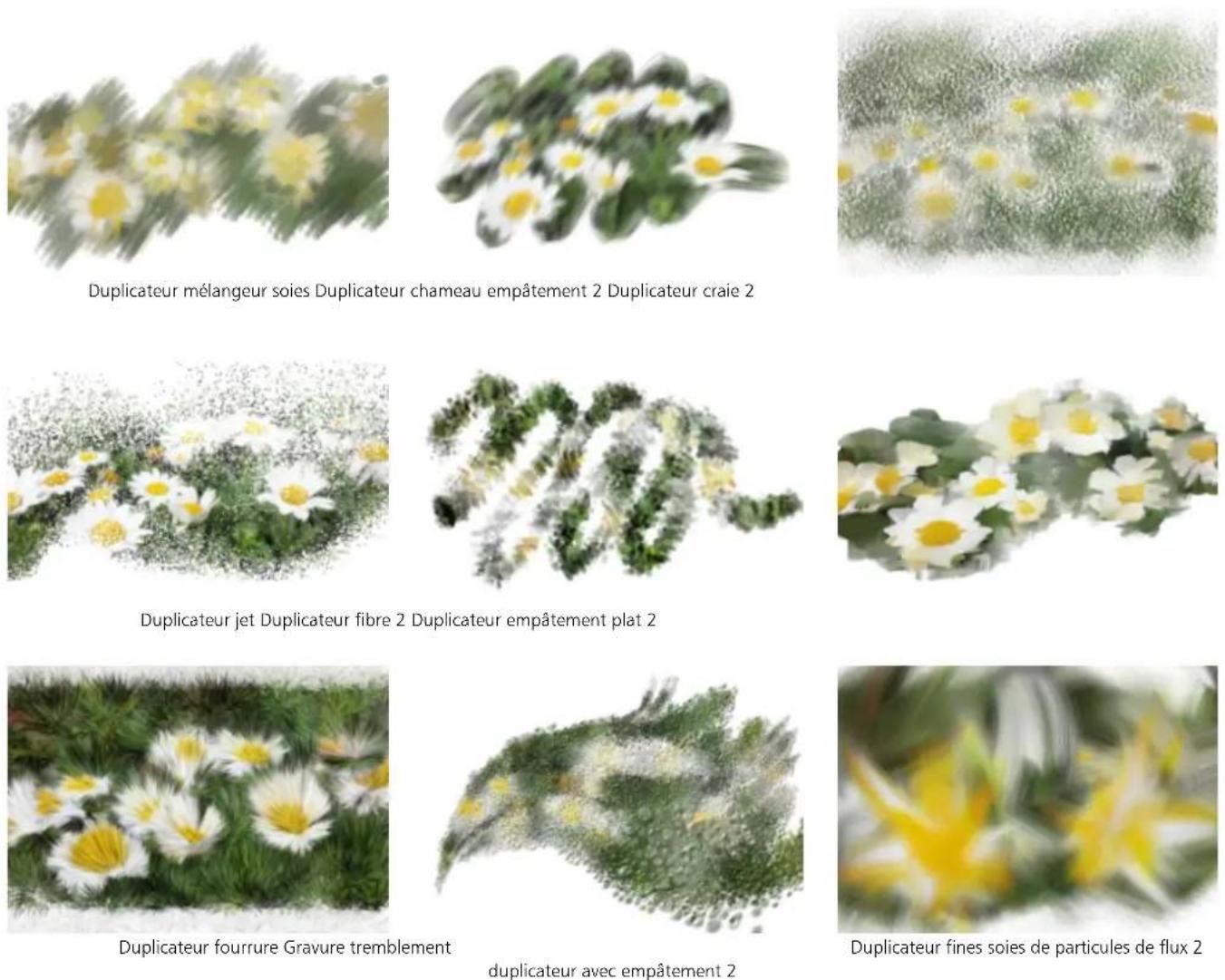 COREL Painter 2019 - Duplicateurs - 1
