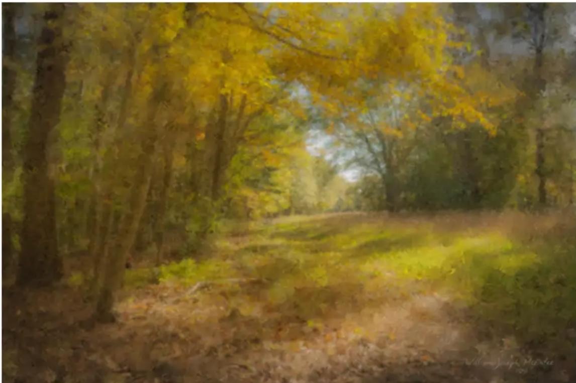 COREL Painter 2019 - Amélioration ! Duplication - 1