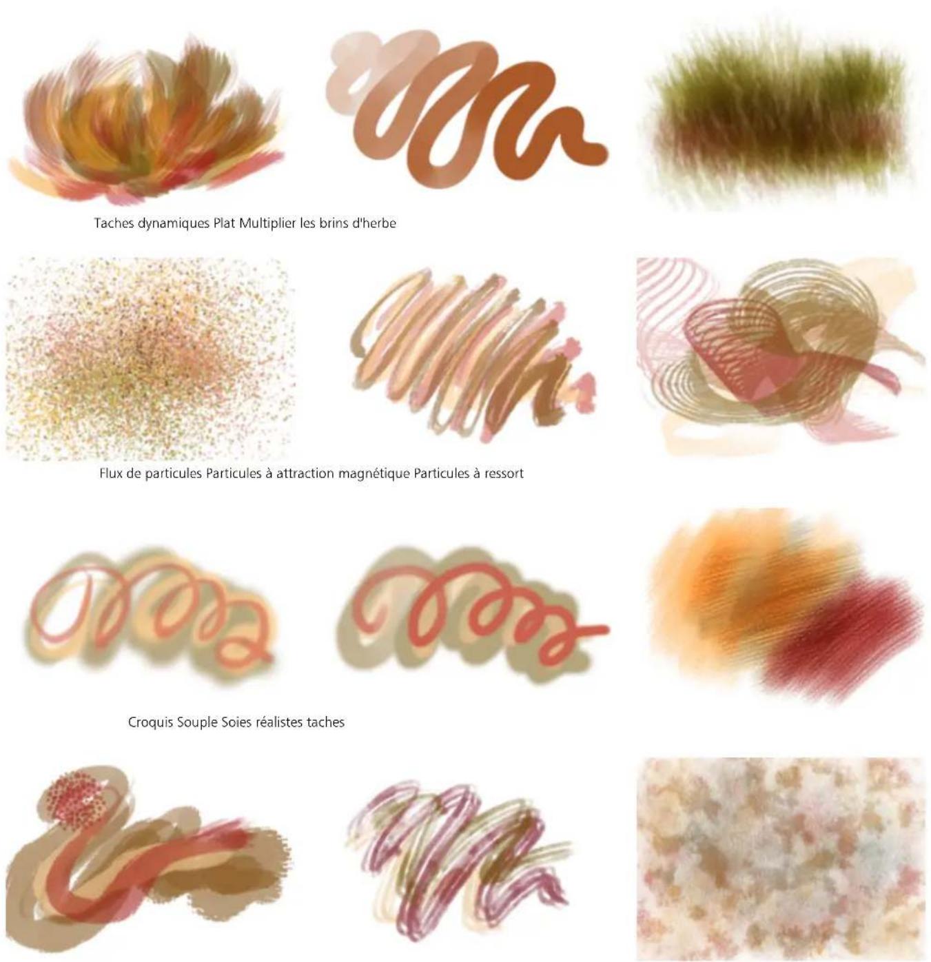 COREL Painter 2019 - Gommes - 9