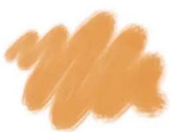 COREL Painter 2019 - Taches dynamiques - 1
