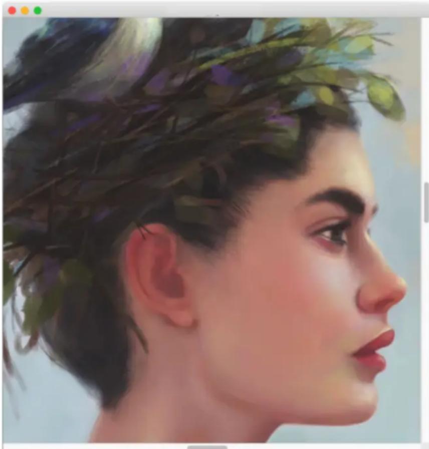 COREL Painter 2019 - Exploration du panneau Navigation - 1
