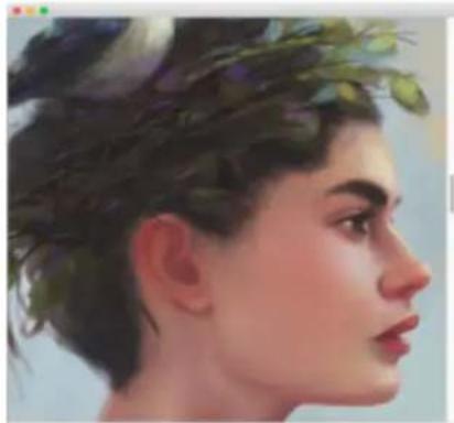 COREL Painter 2019 - Navigation dans les images et affichage des informations sur les images - 1