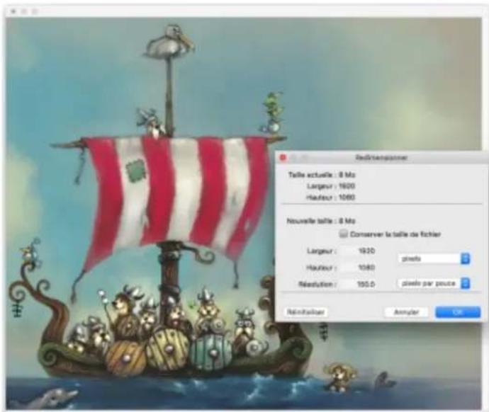COREL Painter 2019 - Redimensionnement des images et de la zone de travail - 1