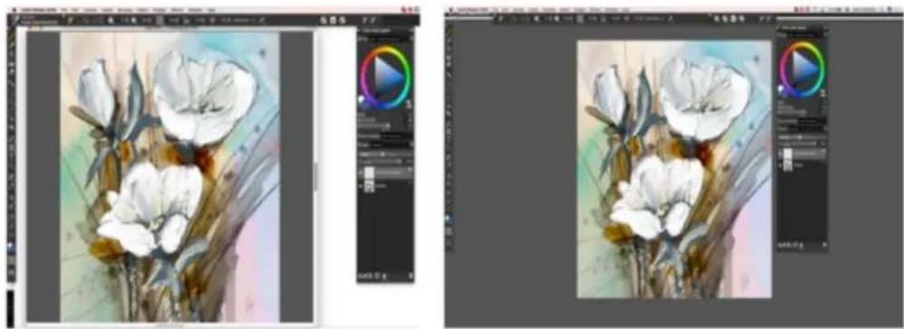 COREL Painter 2019 - Affichages de document - 1