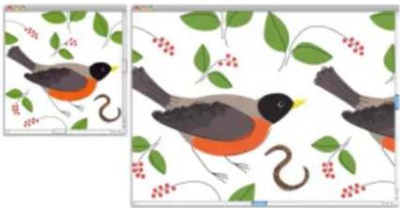 COREL Painter 2019 - Création et édition de motifs - 1