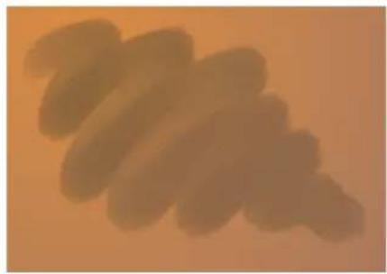COREL Painter 2019 - Jet d'images - 11