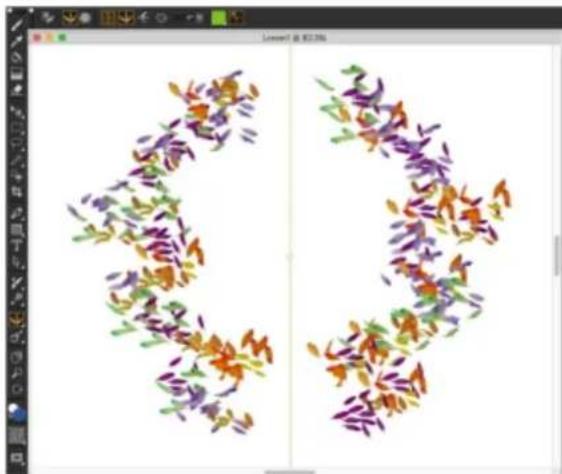 COREL Painter 2019 - Utilisation du mode Peinture en symétrie - 1