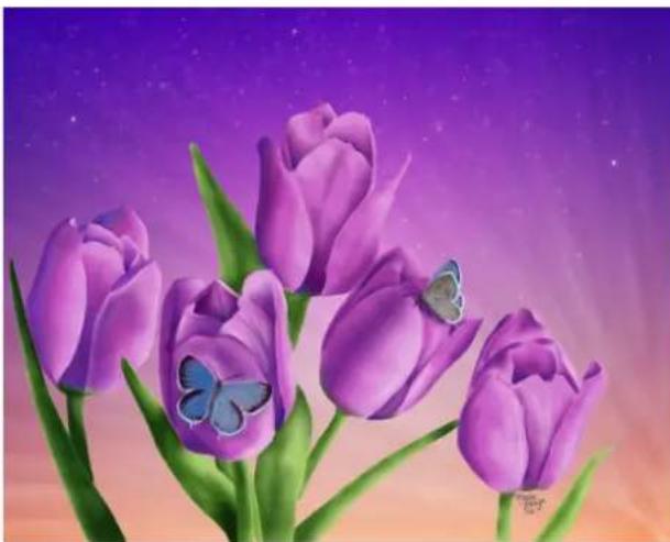 COREL Painter 2019 - Nouveau ! Outil Dégradé interactif - 1