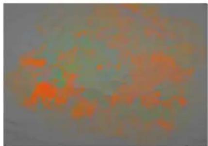 COREL Painter 2019 - Recouvrement de la texture - 12
