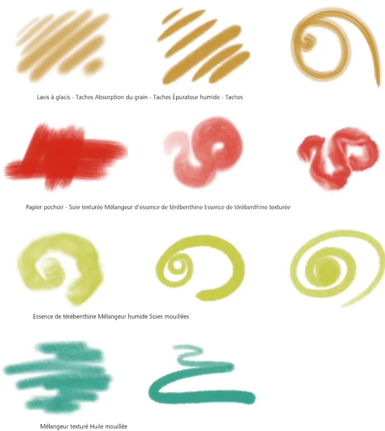 COREL Painter 2019 - Huile grasse réaliste - 2