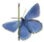 COREL Painter 2019 - Pour faire pivoter et redimensionner la source de l'échantillon - 1