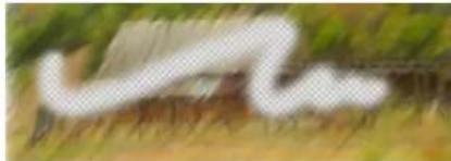 COREL Painter 2019 - Gomme - 1