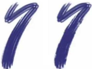 COREL Painter 2019 - Options de la zone Soies statiques - 2