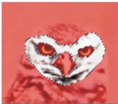 COREL Painter 2019 - Combinaison de sélections lors de l'enregistrement ou du chargement de canaux alpha - 6