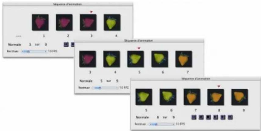 COREL Painter 2019 - Pour créer un fichier de jets de rang 2 à partir d'une animation - 1