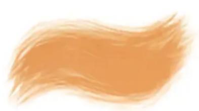 COREL Painter 2019 - Taches dynamiques - 4